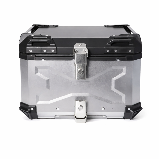 Top case moto silver
